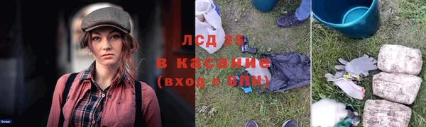 ешки Новокубанск
