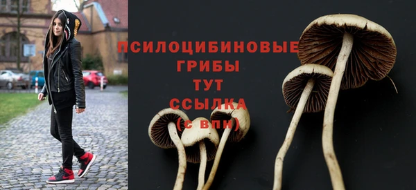альфа пвп Новодвинск