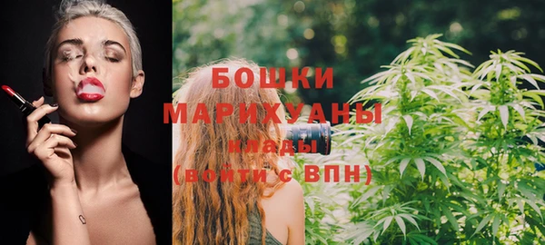 стафф Галич