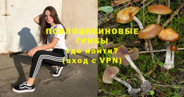 бутират Гвардейск