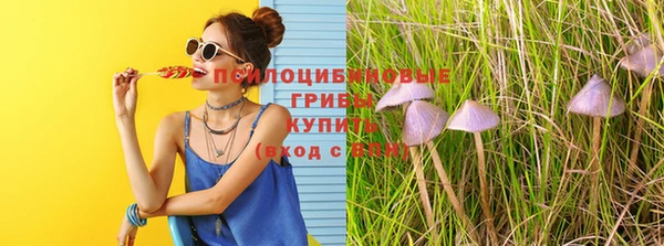 ешки Новокубанск