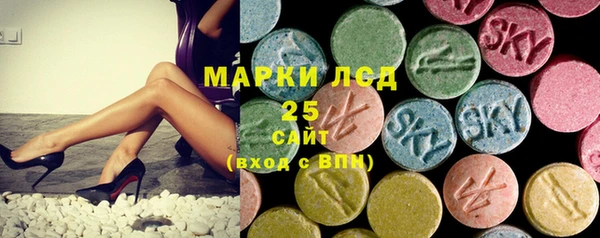 стафф Галич