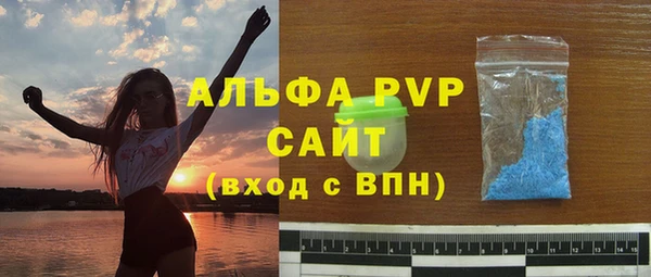 apvp Гусиноозёрск