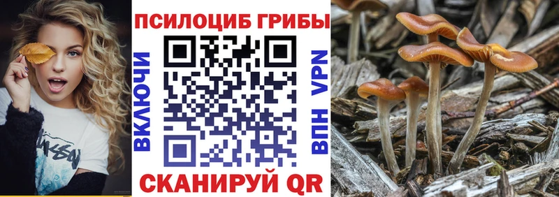 Галлюциногенные грибы MAGIC MUSHROOMS shop формула Красноперекопск продажа наркотиков