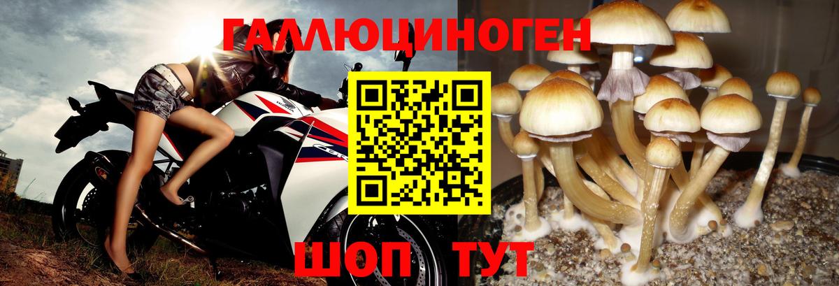 Псилоцибиновые грибы прущие грибы Красноперекопск